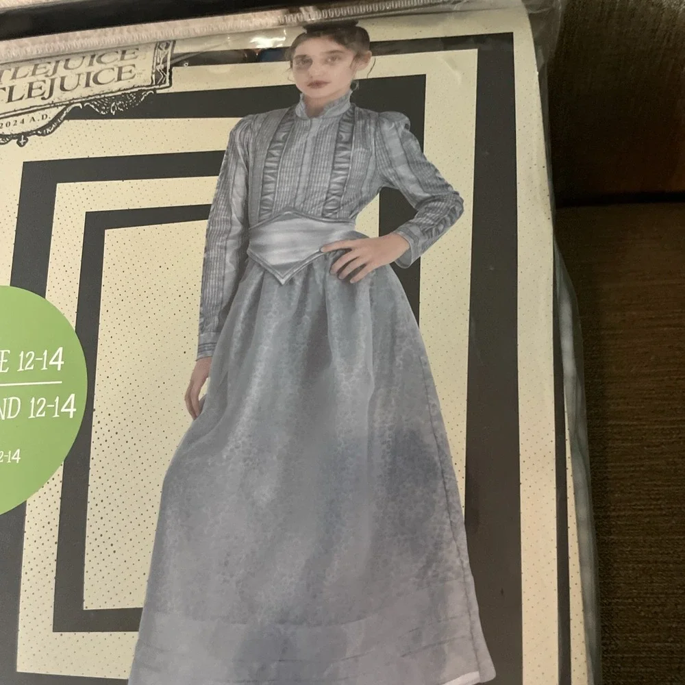 Astrid Costume Beetlejuice Beetlejuice Child Large Size 12-14‎ Dress W Att Belt